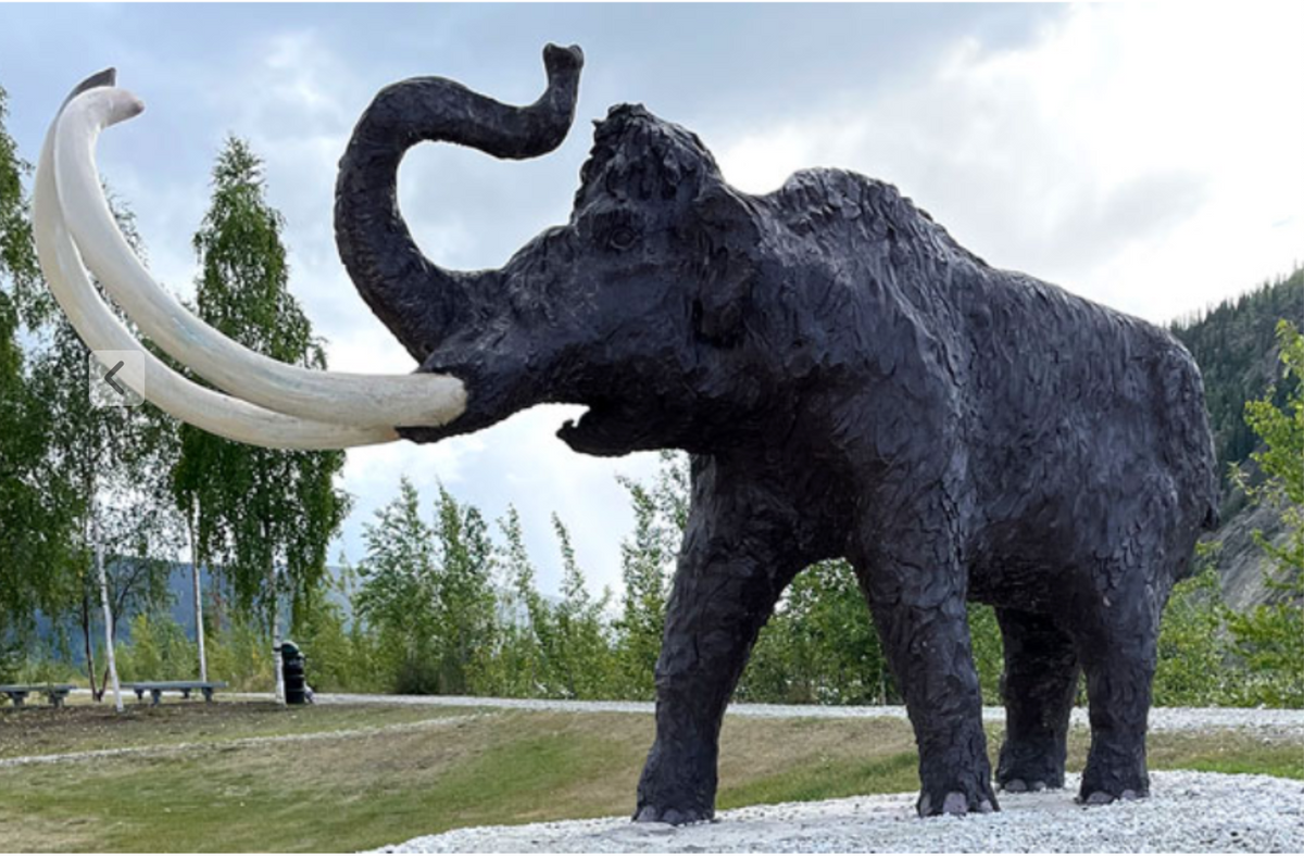 Halin's Mammoth Turns Heads 🦣!!