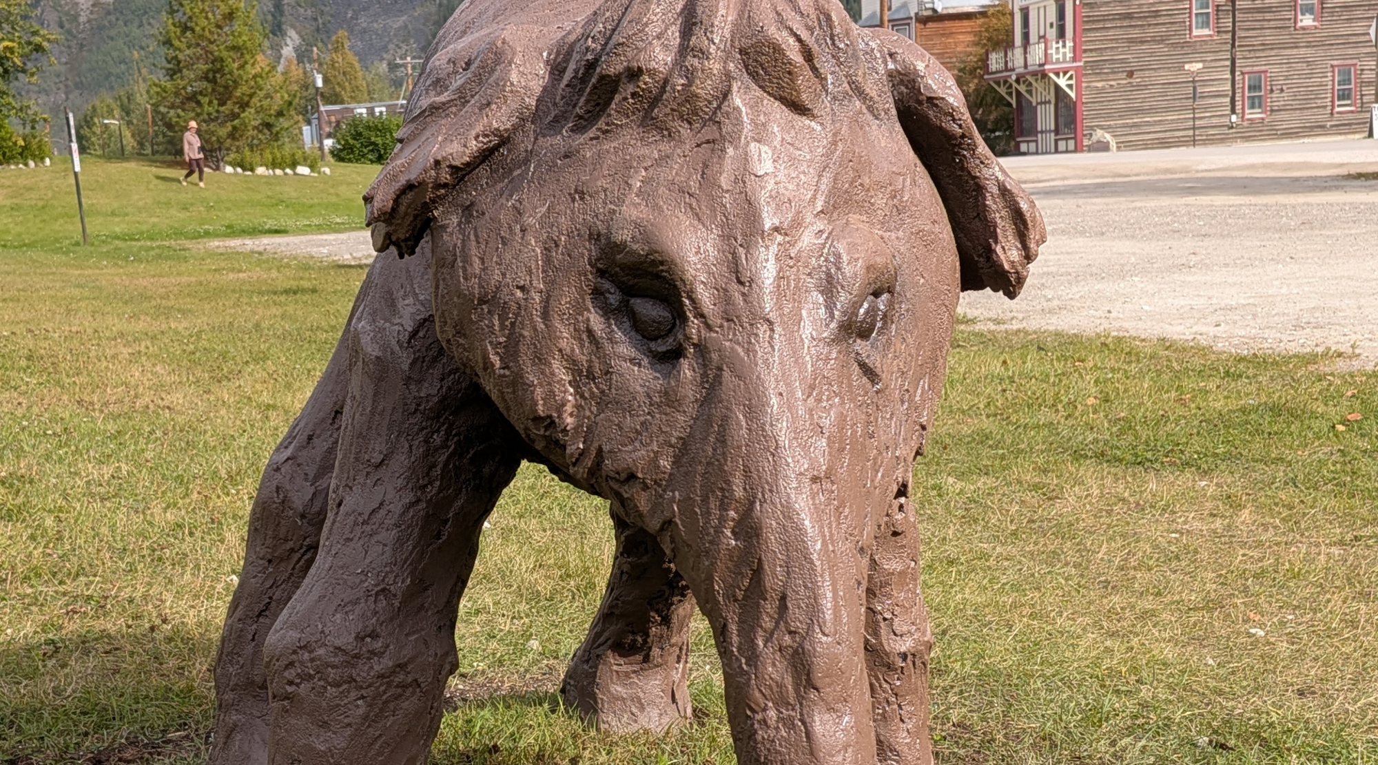 Slideshow Image 1