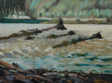 After the Flooding (2023)