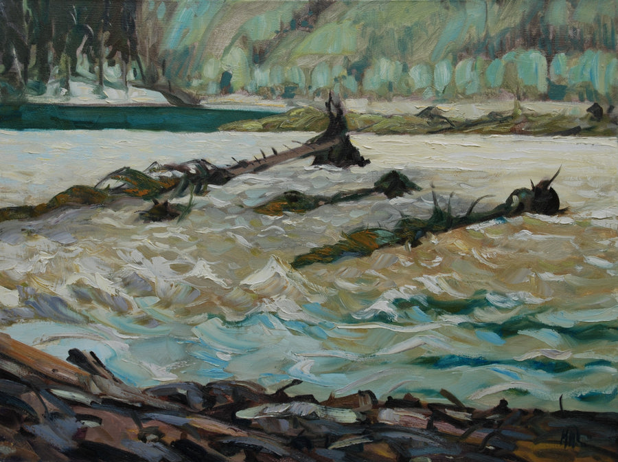 After the Flooding (2023)