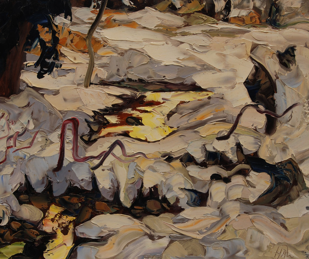 Reflection Hot Spring (2014)