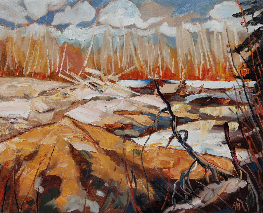 Sandbar Dance (2024)