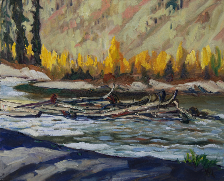 Tangle Island (2025)